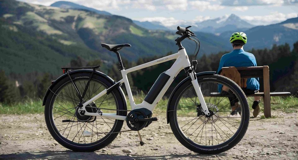 Do Electric Bikes Require a Licence?